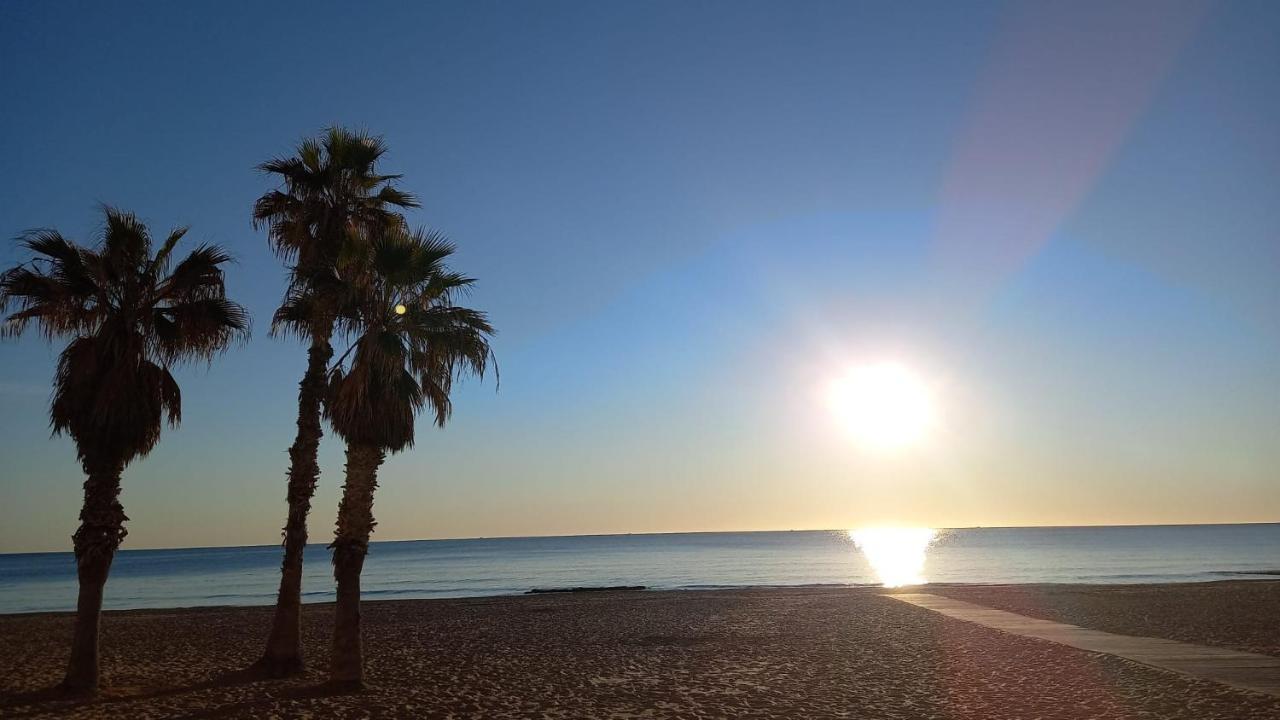 Julia'S Paradise Apartment Torrevieja Dış mekan fotoğraf